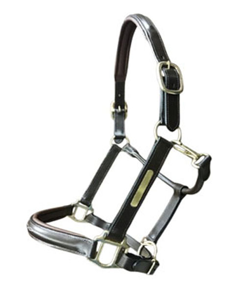SOLID BRASS PLATE HALTER