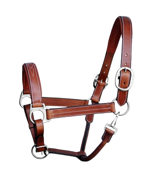 COMFORT HALTER