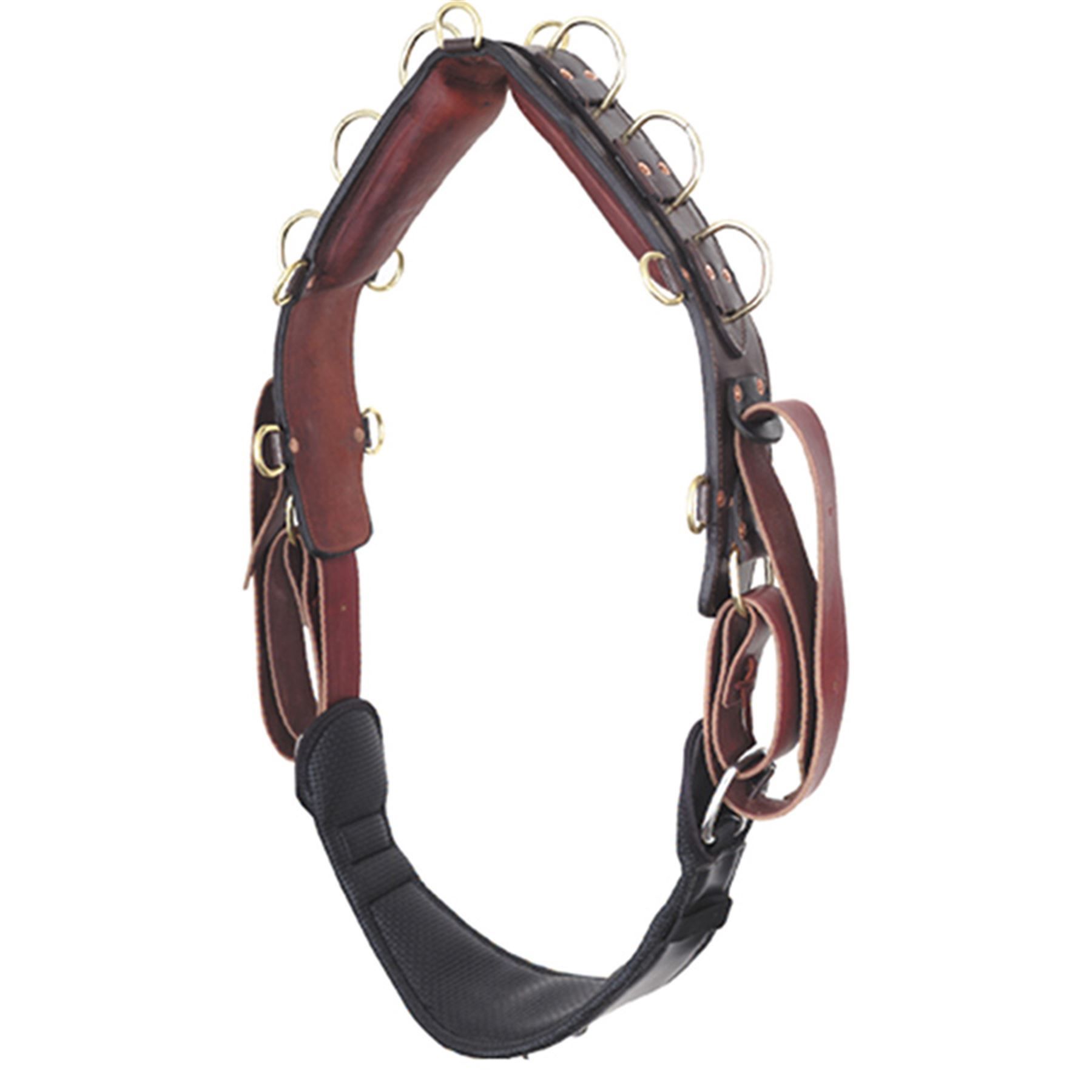 PADDED TRAINING SURCINGLE