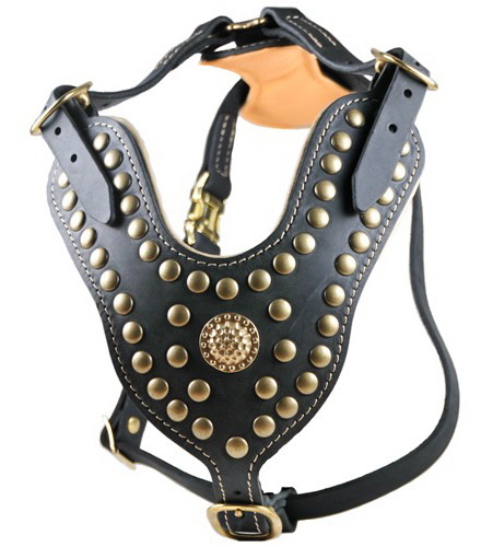 STUD BREAST COLLAR