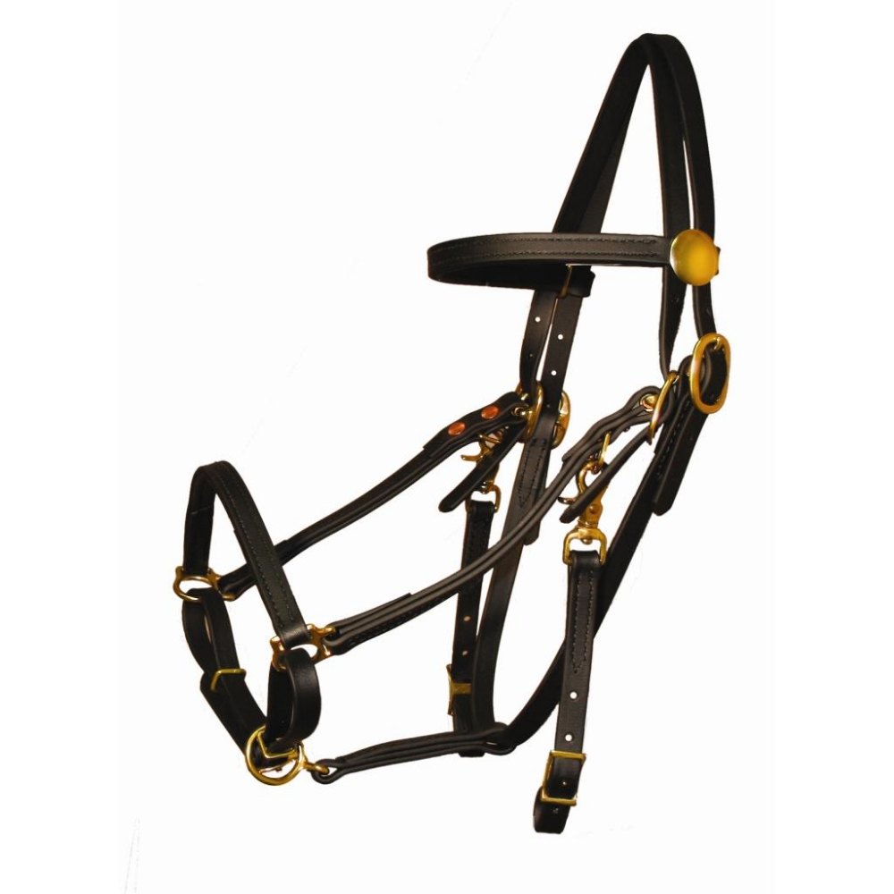BRIDLE CUM HALTER WITH BRASS FITTING