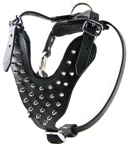 SPIKES BREAST COLLAR